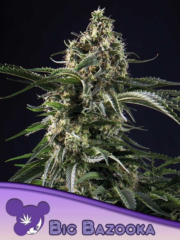 Produktbild 1