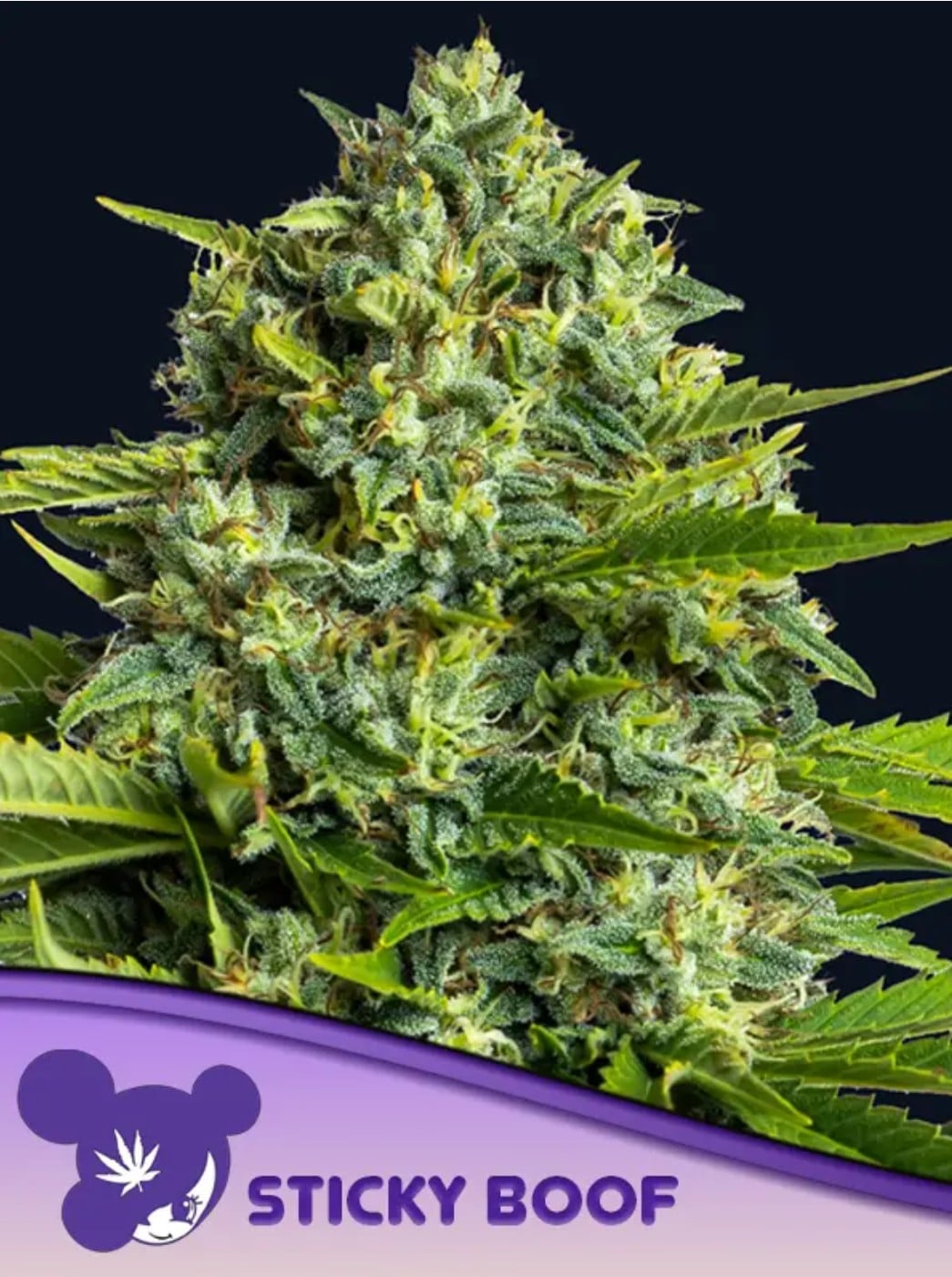 Produktbild 1