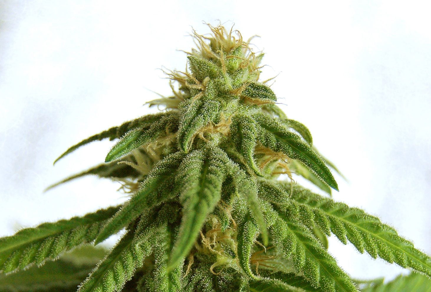 Produktbild 1