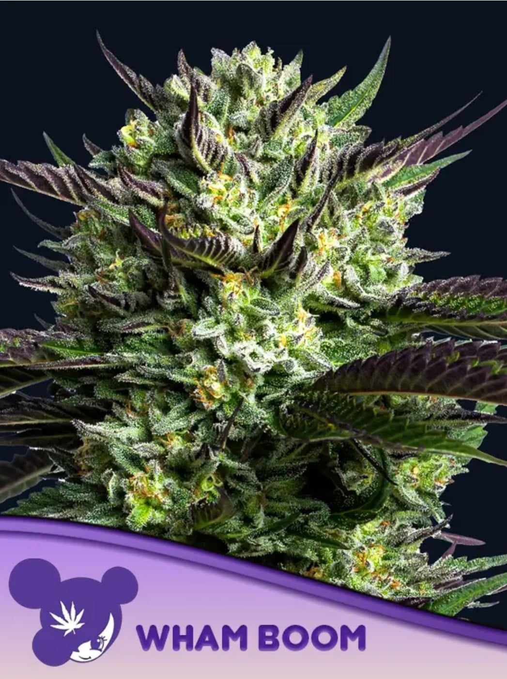 Produktbild 1